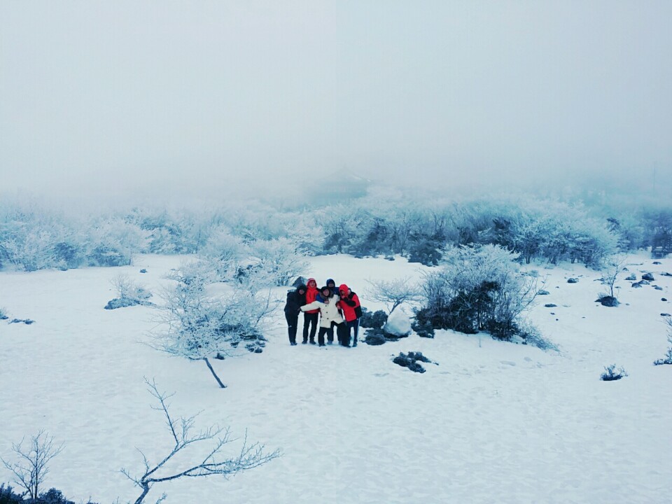 KakaoTalk_20150107_130150340.jpg
