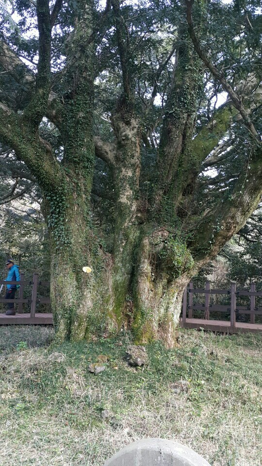 KakaoTalk_20170424_122010921.jpg
