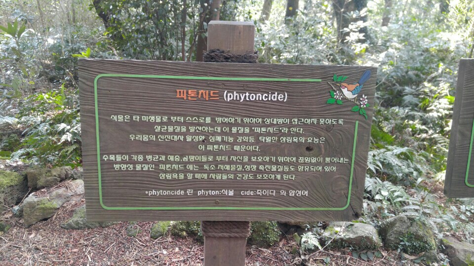KakaoTalk_20170424_122213433.jpg