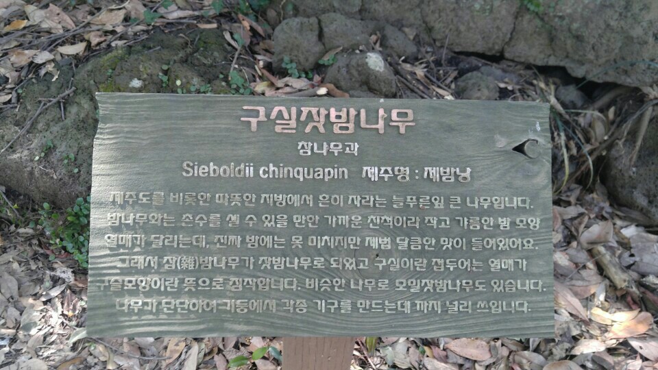 KakaoTalk_20170424_122221512.jpg