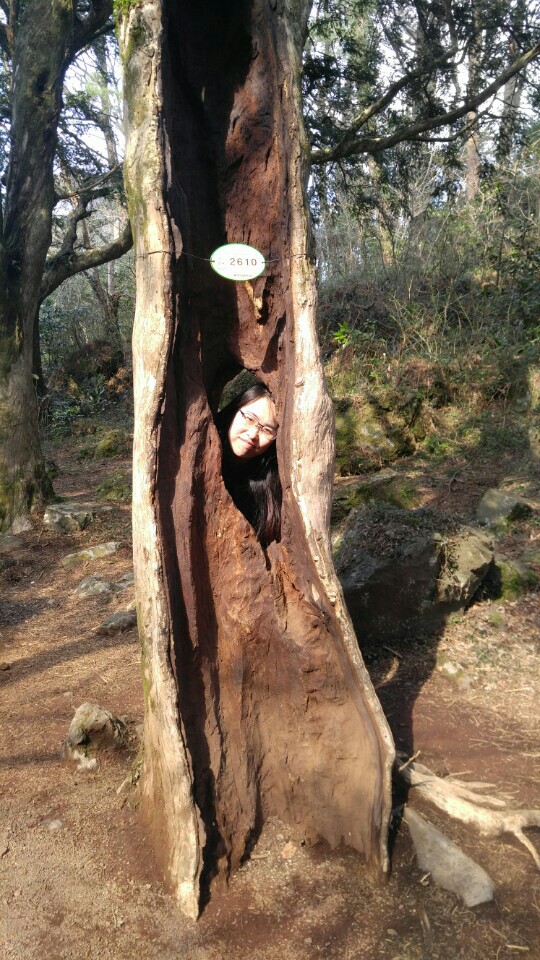 KakaoTalk_20170424_122106523.jpg