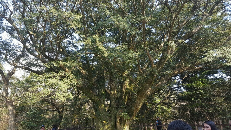 KakaoTalk_20170424_122012381.jpg