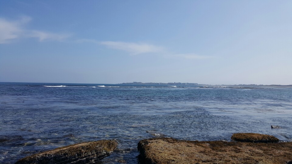 KakaoTalk_20170408_155540553.jpg
