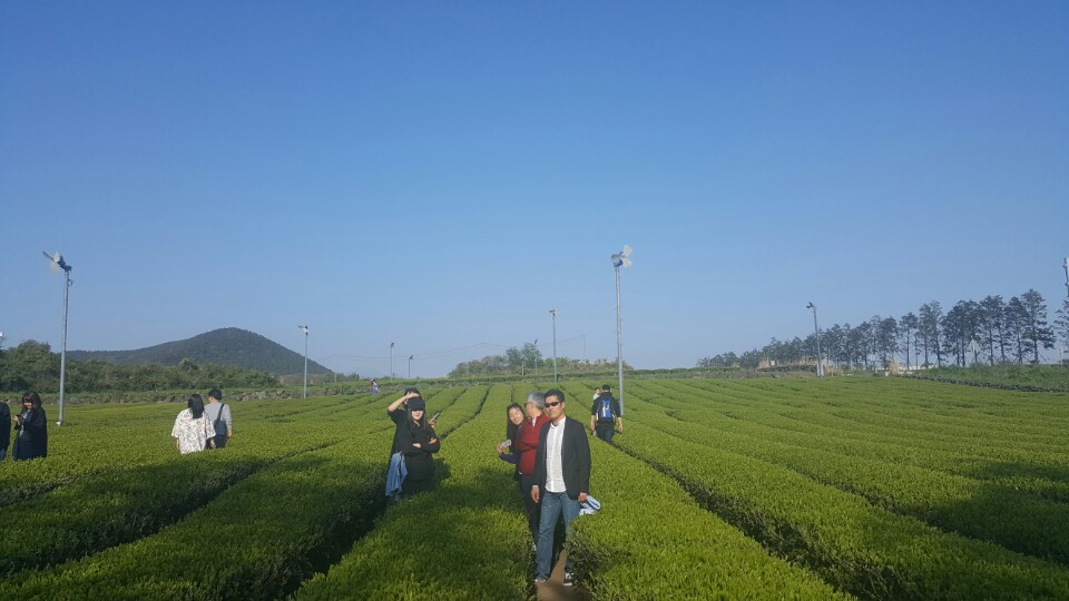KakaoTalk_20170429_122732600.jpg