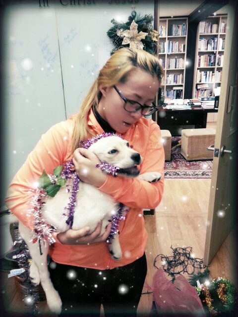 KakaoTalk_20141108_135007142.jpg